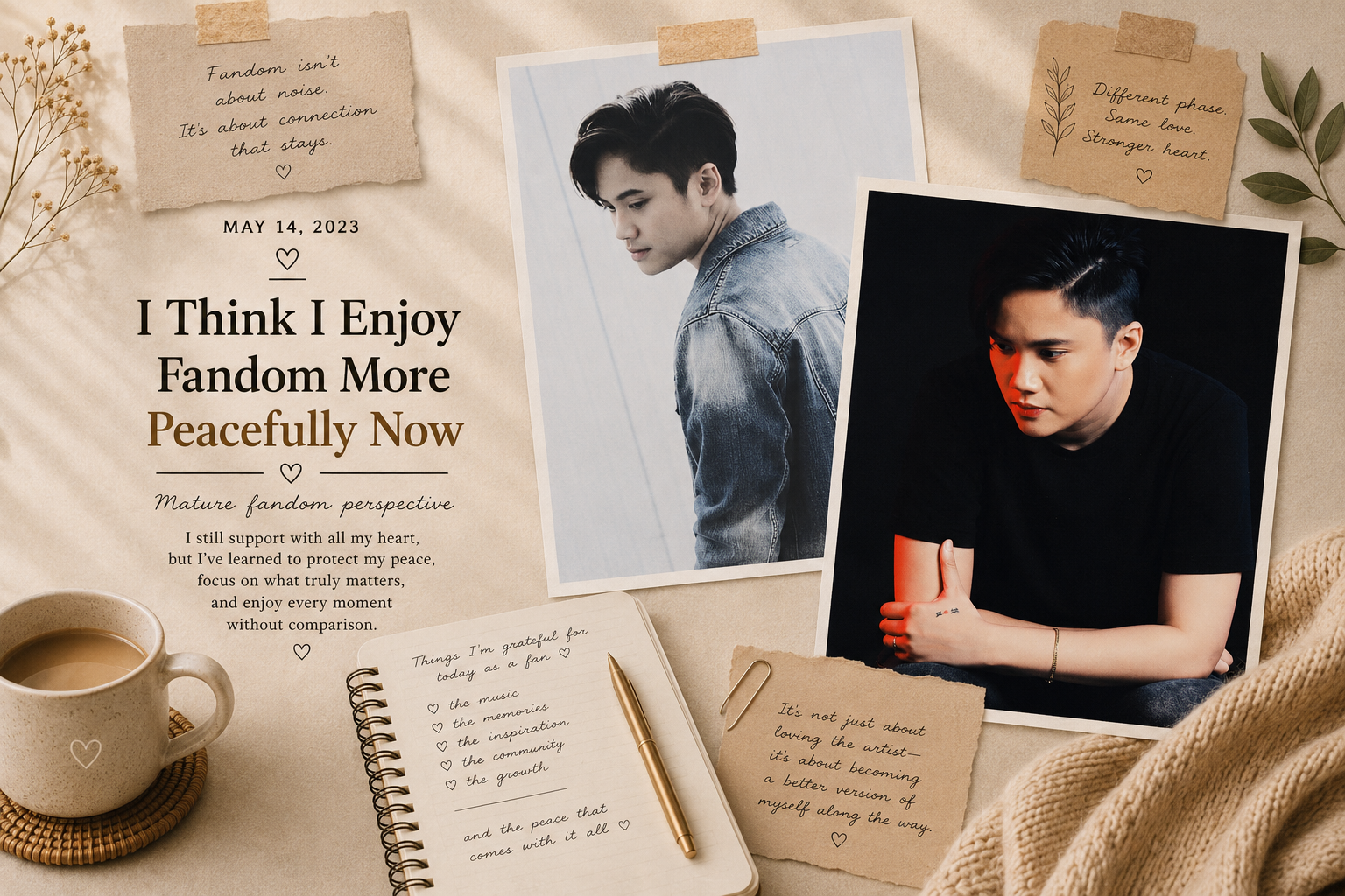 I Think I Enjoy Fandom More Peacefully Now